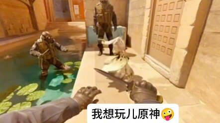 这才是真正的诱饵弹