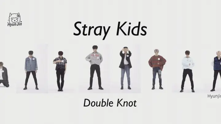 Песня double knot stray. Stray Kids Double Knot обложка.