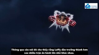 Anastasio Cocci Trần - Review - Sức Mạnh & Trạng Thái Gear 4 Của Luffy #anime #schooltime