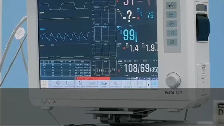 Your heart’s hidden electrical grid