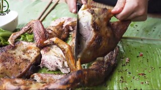 Trồng Cây, Gây Rừng - Vợ Nướng Vịt, Chồng Nhâm Nhi, Đời Giản Dị