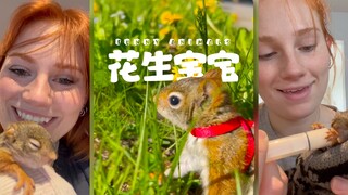 抓到一只小花生🐿️超可爱的💗