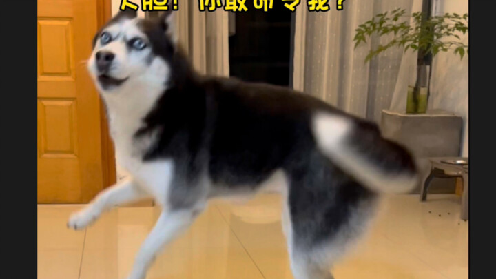 A must-try for anyone feeling down or stuck!