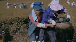 女人的脸上竟然长了一块农田，仔细一看还有农民伯伯在耕种