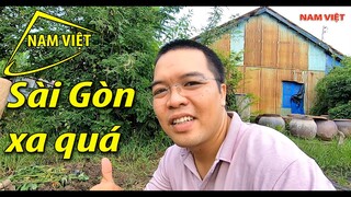 Đi hóng gió mùa CoVi - Thành phố sau lưng - Nam Việt 1671