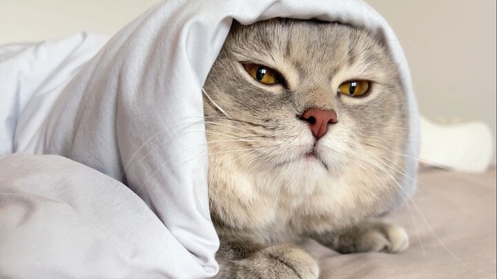 ง่วงหน้าร้อน ตื่นได้ก็แค่ตอนกินข้าวเท่านั้น