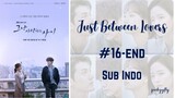 Just Between Lovers Ep.16-End Sub Indo