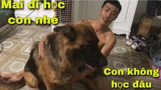 Săn Bắt Ẩm Thực Vùng Cao Vui Đùa Cùng Thú Cưng | Tường Vy Vlog