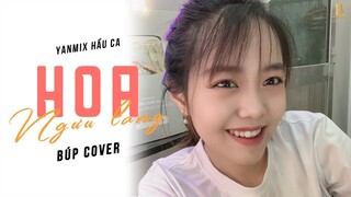 HOA NGƯU LANG - YAMIX HẦU CA X NIF | BÚP COVER