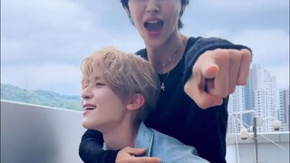 【NCT WISH】2️⃣ Songbirdz got on the B-B-Bass #withLilSongbird