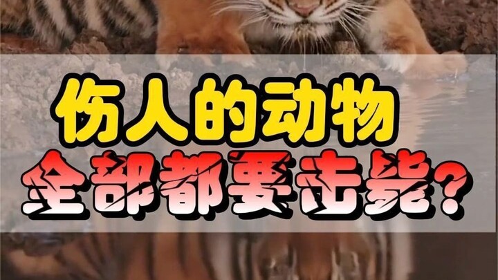 How are animals that hurt people ultimately handled?