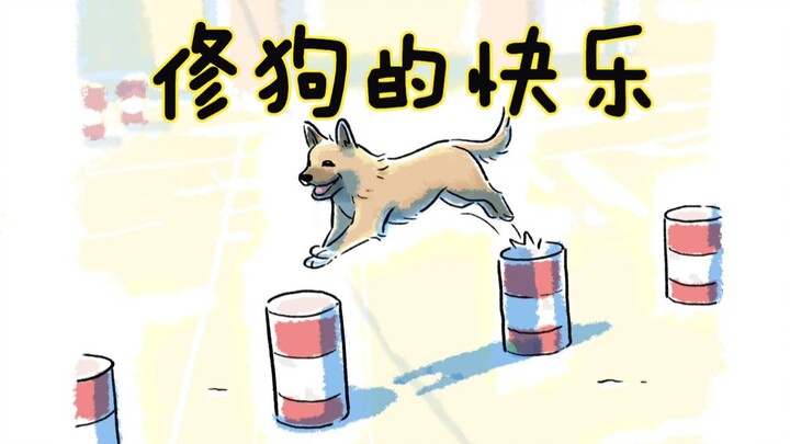 Niềm vui của chó sửa