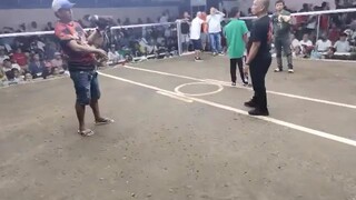 The finals 7stag 6th fight WIN ..Entry name: TiGRE Ng DAVAO