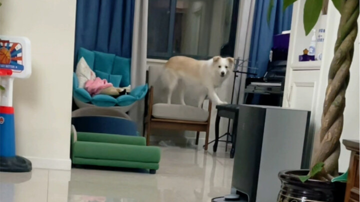 กินอกไก่สักหน่อยช่างยากจริงๆเลย