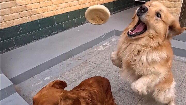 “If I can’t get my hands on the bun, I’ll just take it out on my coworker!”
