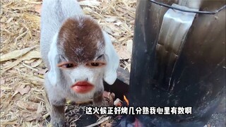 小羊羔想吃羊肉串了