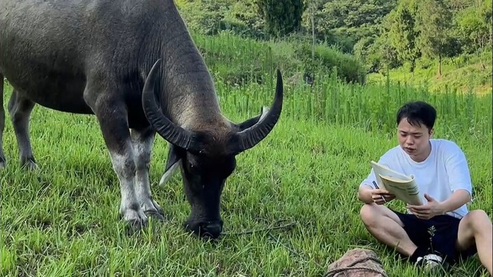 Yongqi's Beautiful Life 7