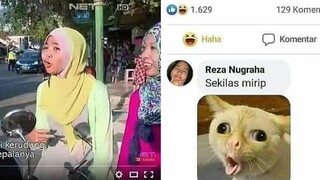 Kumpulan Meme Absurd yang Saya temukan di Sekitar Rumah (24)