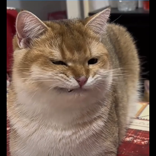 Nụ cười đầy nước mắt