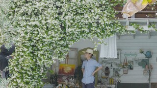 原来2017已是8年前，我独居院子已整七年
