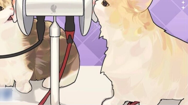 [3D Mai] The exciting cat licking and purring...Cat One-Day Reincarnation Experience Ticket!