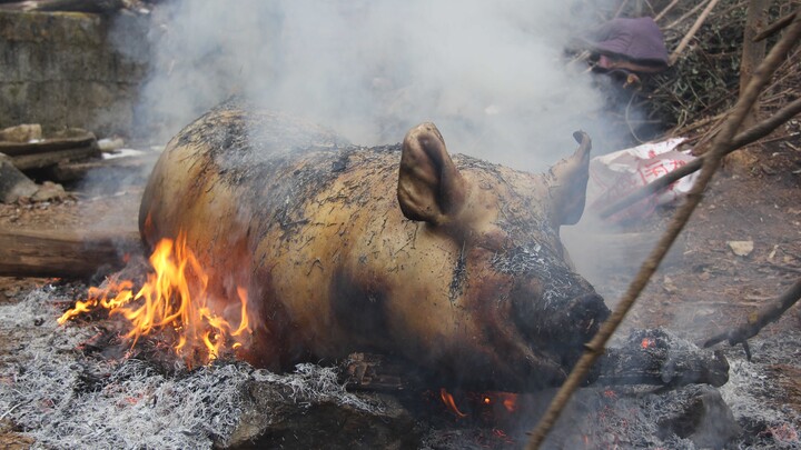 New Year’s almost here—time to start the annual pig slaughter! This is the kind of rural vibe you on
