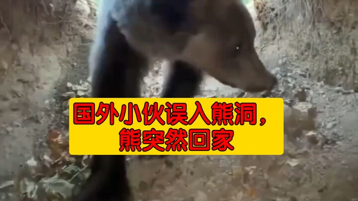 Foreign guy accidentally wanders into a bear’s den, and the bear suddenly returns home.