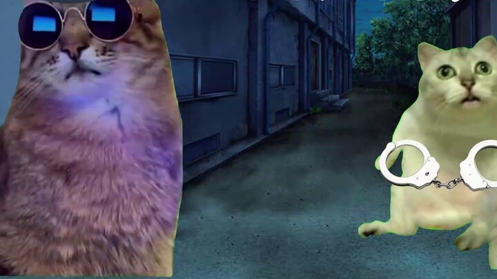 [Cat meme] Going to investigate a case with Momo: He runs away, I chase him, he can’t escape even if