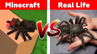 MINECRAFT SPIDER IN REAL LIFE! Minecraft vs Real Life animation