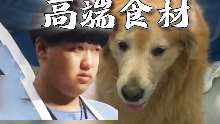 Teknologi produksi rakyat plester kulit anjing