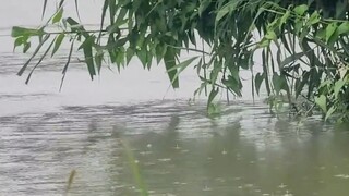 الصيادون لا يستطيعون تحمل هذا!