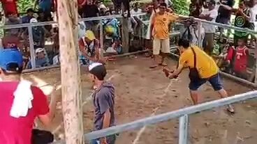 dagan nok🤣🤣🤣