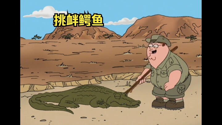 Provoking the Crocodile