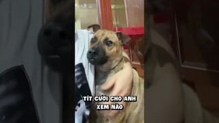Nụ cười thân thiện 🤣 #Shorts #Yeulu #Yeuluofficial
