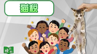 【梗百科】猫税是啥梗？赛博难民涌入国内？