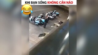 Khi bạn sống mà không cần não