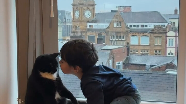 Mengapa kucing sangat toleran terhadap anak-anak? Segera tonton!