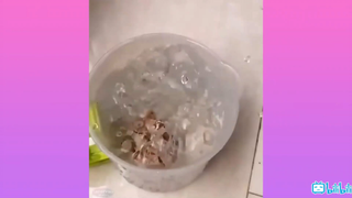 Mệt mỏi tan biến khi xem clip này #funny