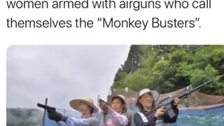Racially Motivated