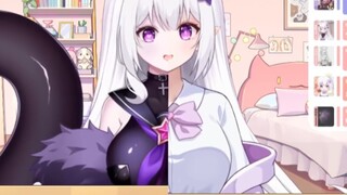 Difference Between Eggplant and Garden