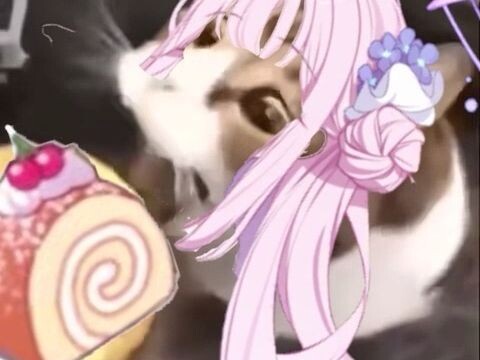 Weihua, you can have a Swiss roll.