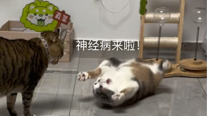 ต้าหมี: ฉันมองใครก็เหมือนปีศาจไปหมด