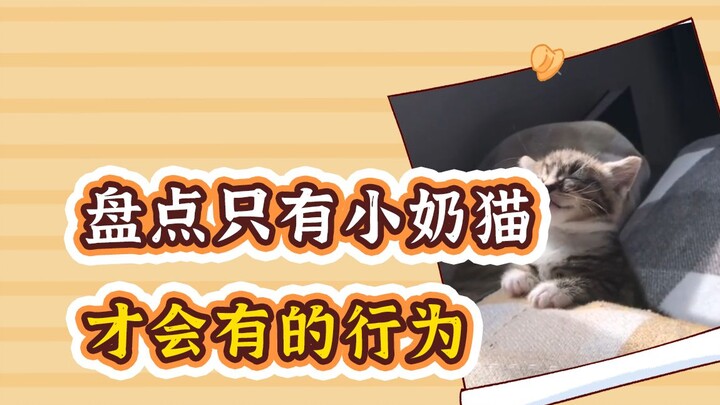 Behaviors only an unbelievably cute little milk kitten would have! I was grinning like an auntie the