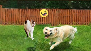 Funniest Cats And Dogs Videos 😁 - Best Funny Animal Videos 2023 🥰