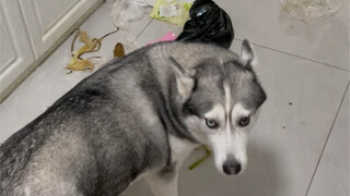 كبر الطفل وأصبح يعرف كيف يحضر لي مفاجآت