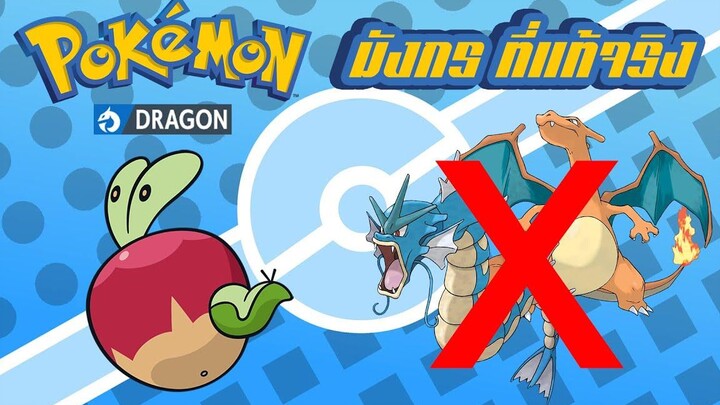 Pokemon Profile มารู้จักกับ Kajicchu Appryu และ Tarupple โปเกม่อนแอปเปิลสายเลือดมังกร !!!
