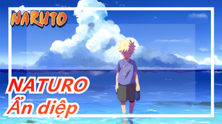 NATURO|Khi ẩn diệp bay lên, Naruto vẫn tồn tại