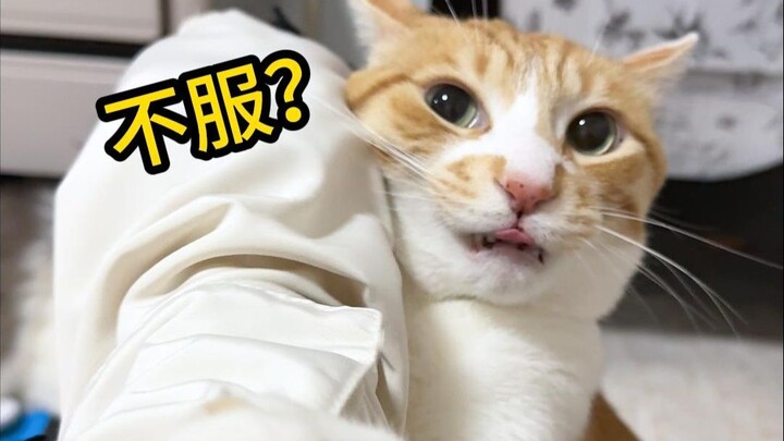 The servant’s cheating ruins the fight—no fun at all! Hmph~