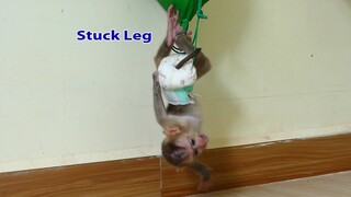 OMG! Baby Maki playing wrong stuck his leg with string can​ not remove need Sister Pisey to help