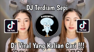 DJ TERDIAM SEPI | DJ DALAM DIAM KUTERPAKU MENGINGAT KISAH KITA VIRAL TIK TOK TERBARU 2024 !